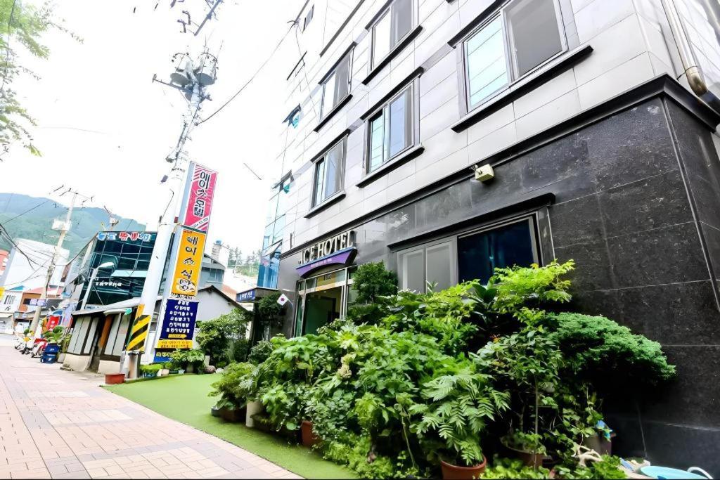 Ace Hotel Ulleung Exterior photo